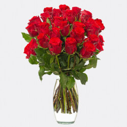 Blumen und Präsente von 123Blumenversand. Angebot "60 rote Rosen im Bund" ab 49.99 zzgl. Lieferung.