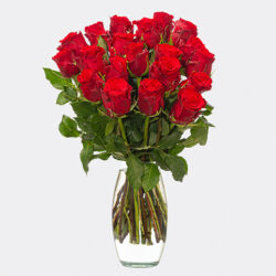 Blumen und Präsente von 123Blumenversand. Angebot "Rote Rosen im Bund" ab 19.99 zzgl. Lieferung.