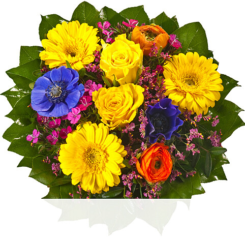 Blumen und Präsente von 123Blumenversand. Angebot "Blumenstrauß Frühlingsgruß" ab 49.99 zzgl. Lieferung.