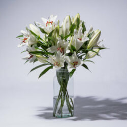 Blumen und Präsente von BLUME2000. Angebot "Lilien in Weiß 10 Stiele" ab 24.99 zzgl. Lieferung.