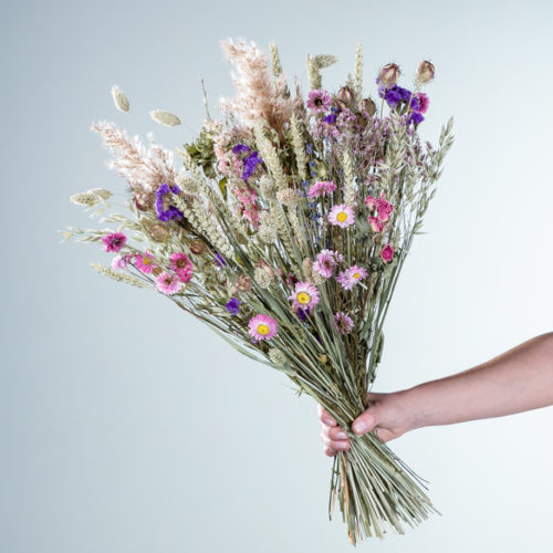 Blumen und Präsente von BLUME2000. Angebot "Wildblumen Trockenblumenstrauß Größe XL" ab 39.99 zzgl. Lieferung.