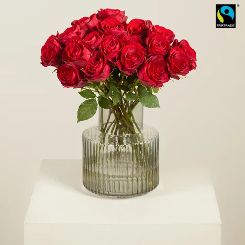 Blumen und Präsente von Bloomydays. Angebot "Rote Rosen M" ab 42.99 zzgl. Lieferung.