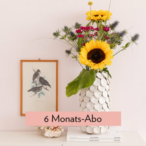 Blumen und Präsente von Bloomydays. Angebot "Abo-Deal: 13 Lieferungen in 6 Monaten" ab 19.95 zzgl. Lieferung.