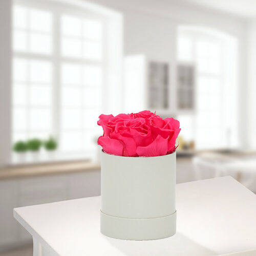 Blumen und Präsente von FloraPrima. Angebot "4 pink haltbare Rosen in Hutschachtel" ab 38.99 zzgl. Lieferung.