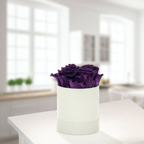 Blumen und Präsente von FloraPrima. Angebot "4 lila haltbare Rosen in Hutschachtel" ab 38.99 zzgl. Lieferung.
