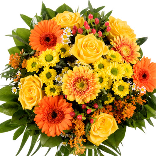 Blumen und Präsente von FloraPrima. Angebot "Blumenstrauß Sonnenstrahl" ab 59.60 zzgl. Lieferung.